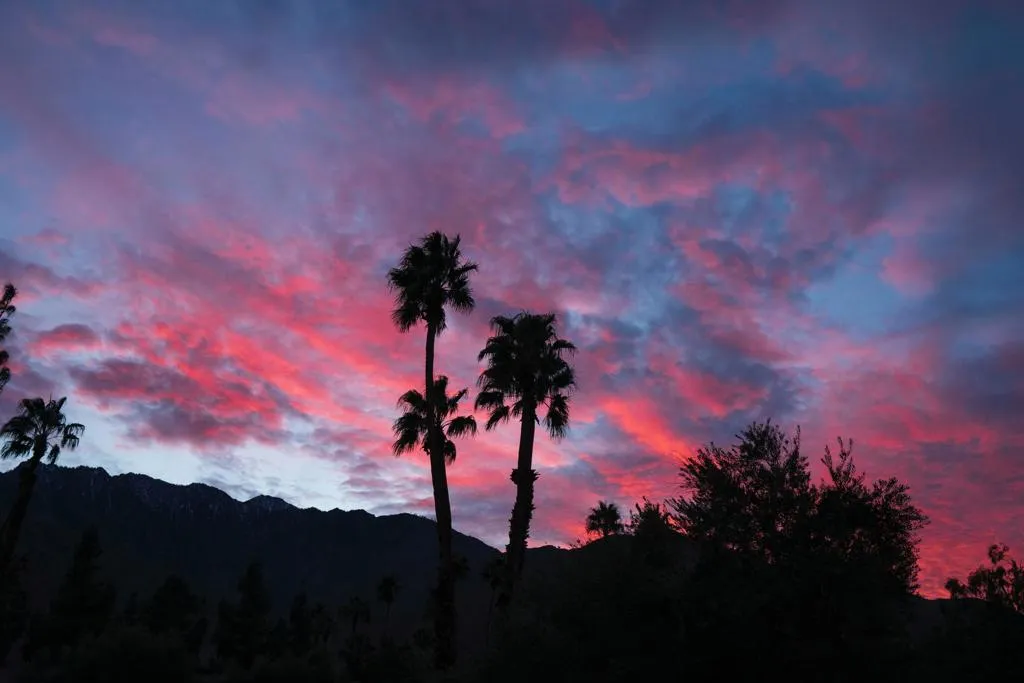 2860 N Los Felices Road 214, Palm Springs, California 92262 home-pic-31